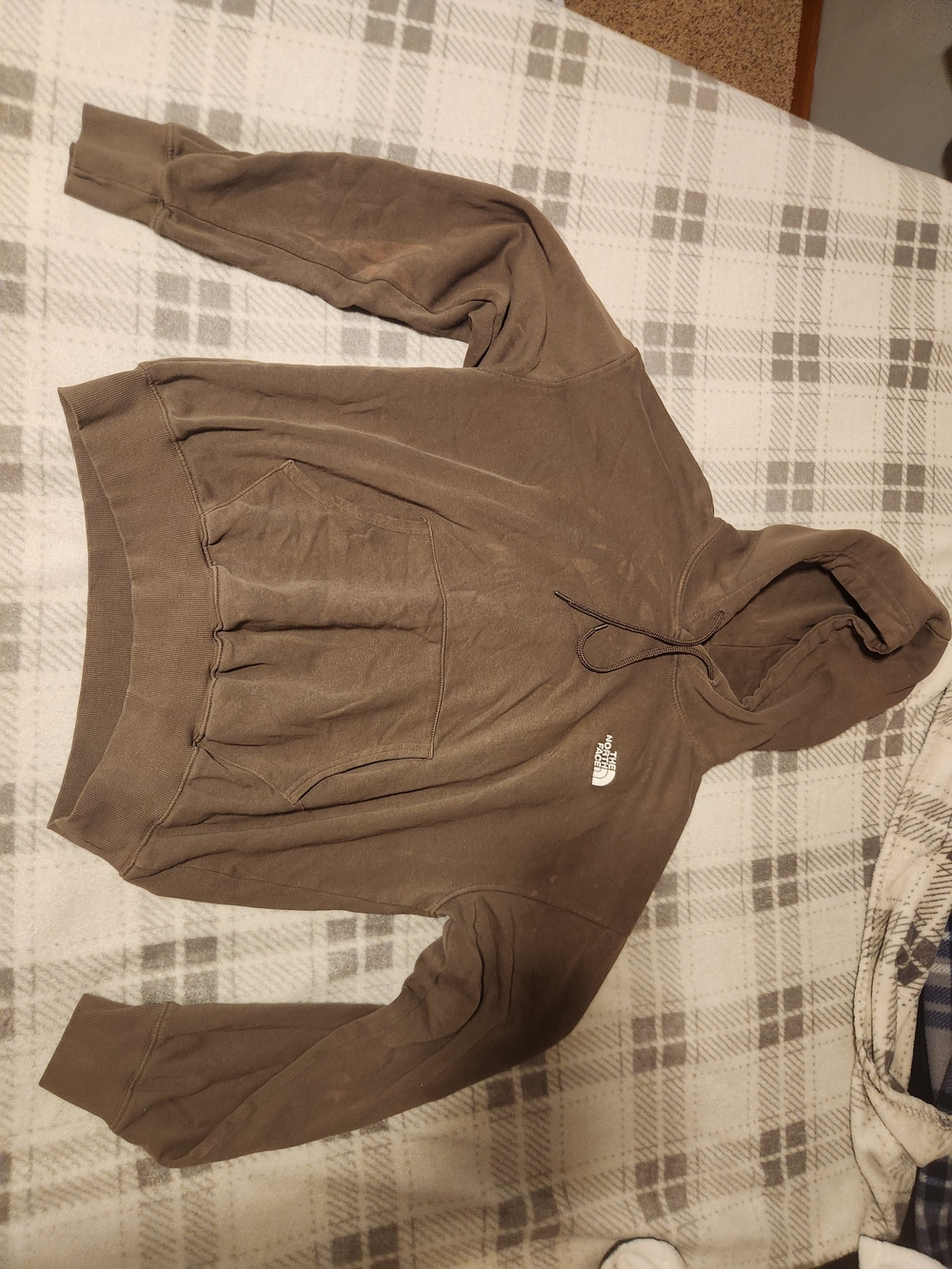 The North Face Circular Design Logo Hoodie Men's Brown Medium